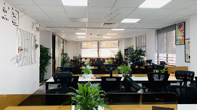 廣州壬豐大廈植物租賃案例 廣州壬豐大廈植物租賃案例