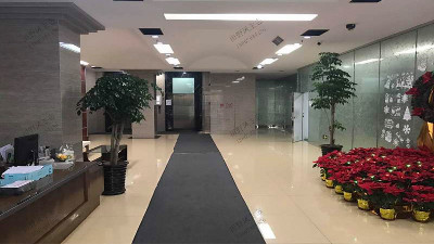 廣州壬豐大廈植物租賃案例 廣州壬豐大廈植物租賃案例