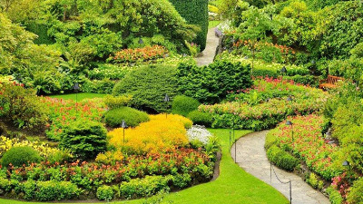 園林景觀植物造景的四大原則，你知道嗎？