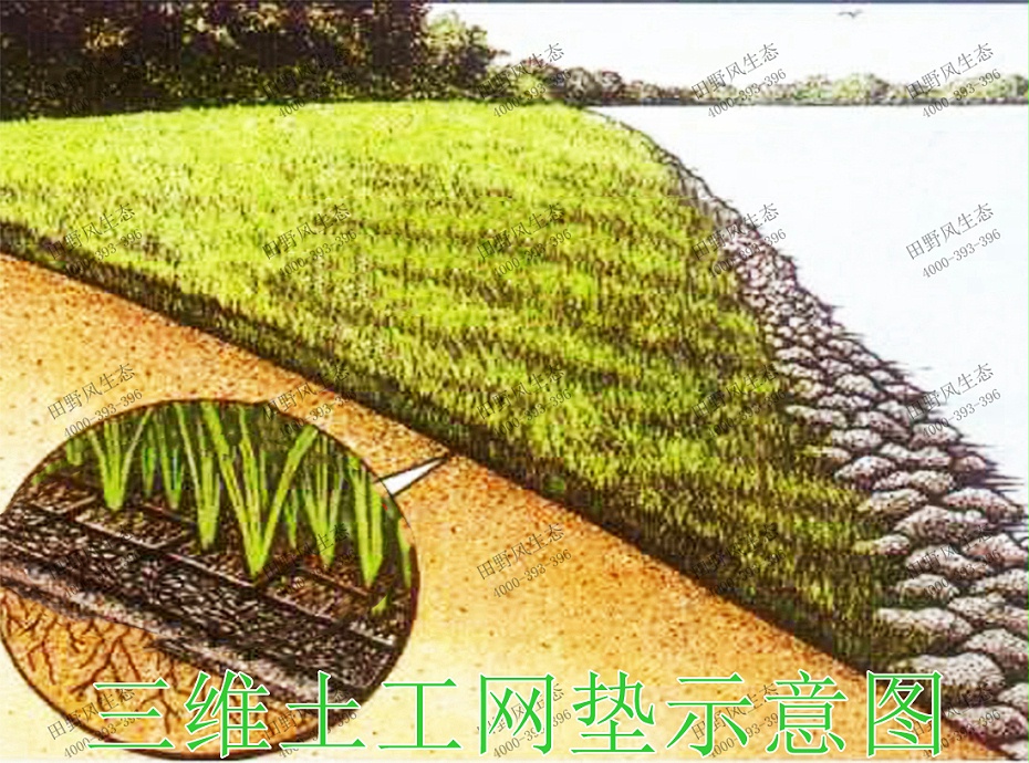 1三維土工網(wǎng)墊示意圖 1三維土工網(wǎng)墊示意圖
