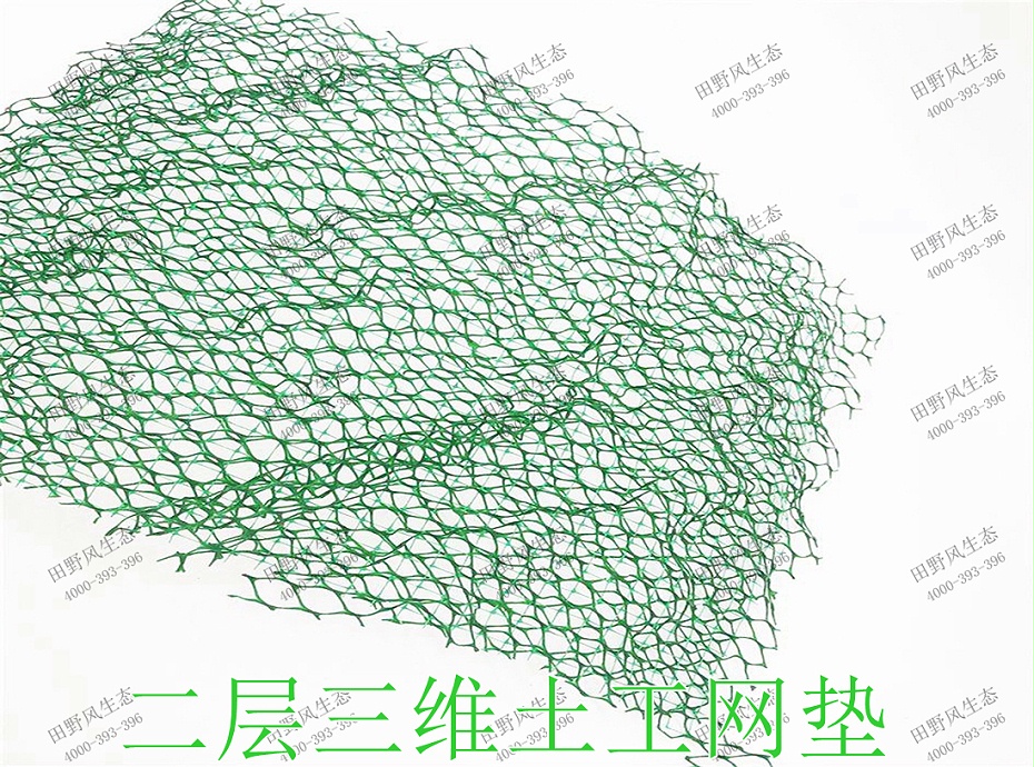 2二層三維土工網(wǎng)墊 2二層三維土工網(wǎng)墊