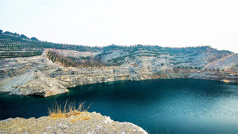 1工程驗收復(fù)綠效果 1工程驗收復(fù)綠效果