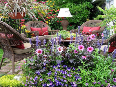 花期長，一年四季開花的花卉有哪些?