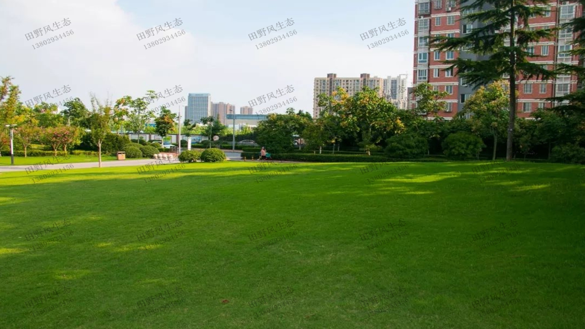 草種草籽1斤能播種多少平方？