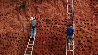 邊坡開水平溝 邊坡開水平溝