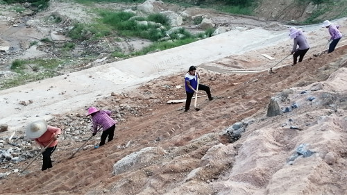 邊坡坡面清理 邊坡坡面清理