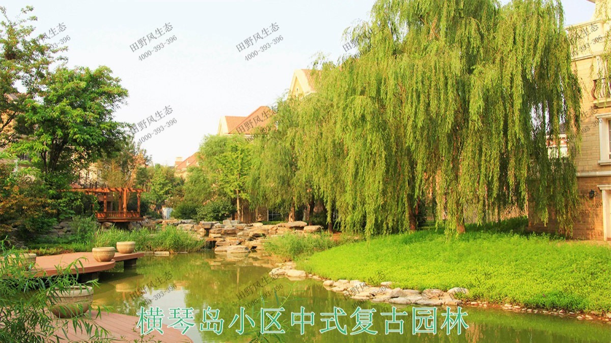 廣東珠海橫琴島市政園林工程 廣東珠海橫琴島市政園林工程