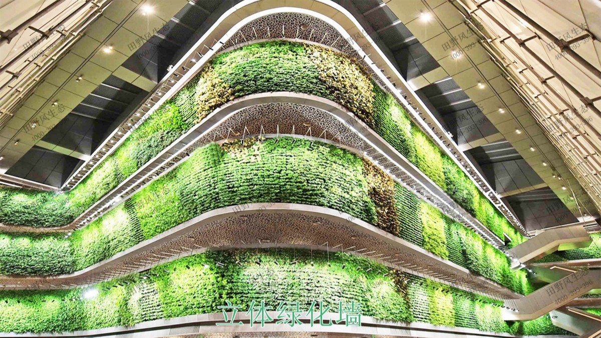 深圳園博立體綠化工程 深圳園博立體綠化工程