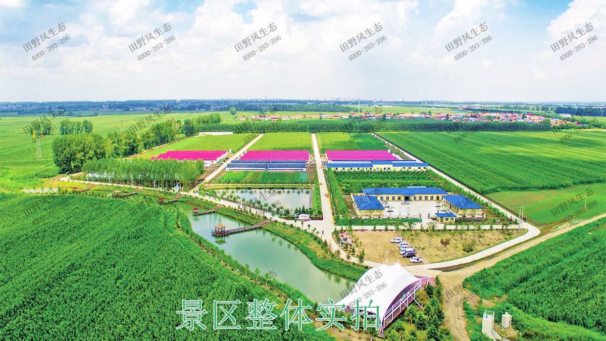 景區(qū)整體實拍 景區(qū)整體實拍