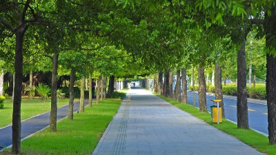 南方地區(qū)常見的園林綠化植物，你認識幾種？