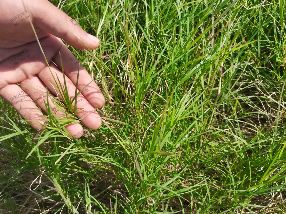 1b6d6f680ada4413b24f760a284c3e34_23 1b6d6f680ada4413b24f760a284c3e34_23