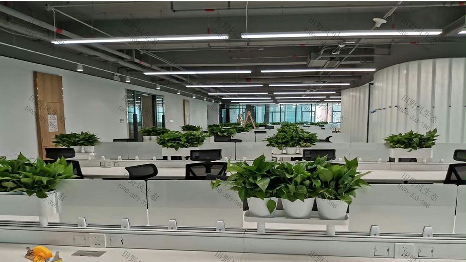 廣州白云金鐘大廈