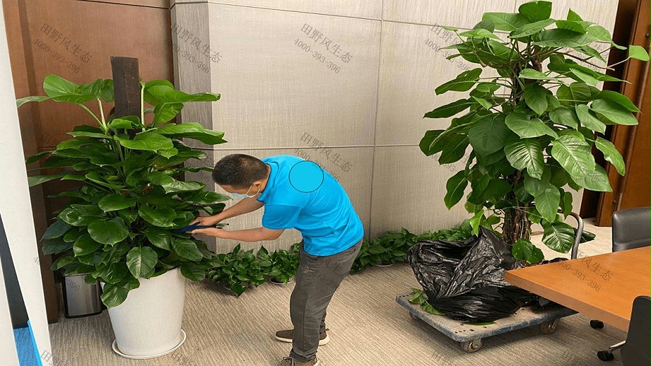 廣州金泊大廈 廣州金泊大廈