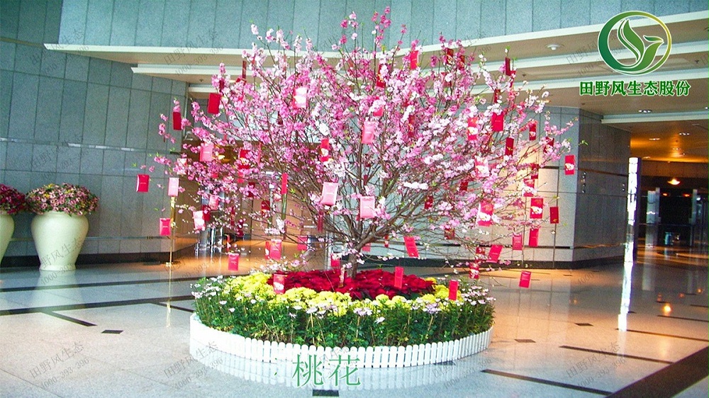 廣州日健管理有限公司年花訂購(gòu)服務(wù) 廣州日健管理有限公司年花訂購(gòu)服務(wù)