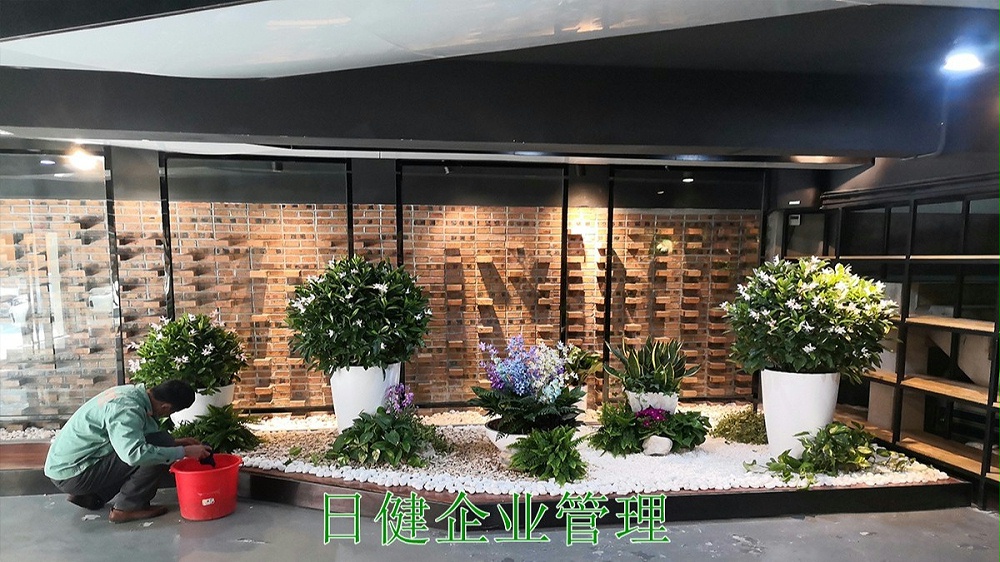 廣州日健管理有限公司年花訂購(gòu)服務(wù) 廣州日健管理有限公司年花訂購(gòu)服務(wù)