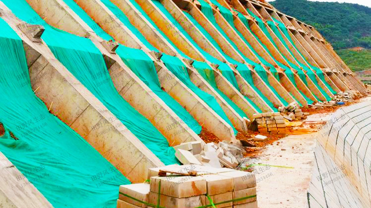 現(xiàn)場蓋無紡布 現(xiàn)場蓋無紡布