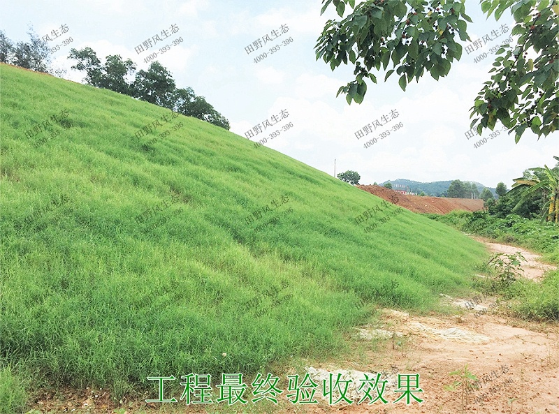 11工程最終驗(yàn)收效果 11工程最終驗(yàn)收效果