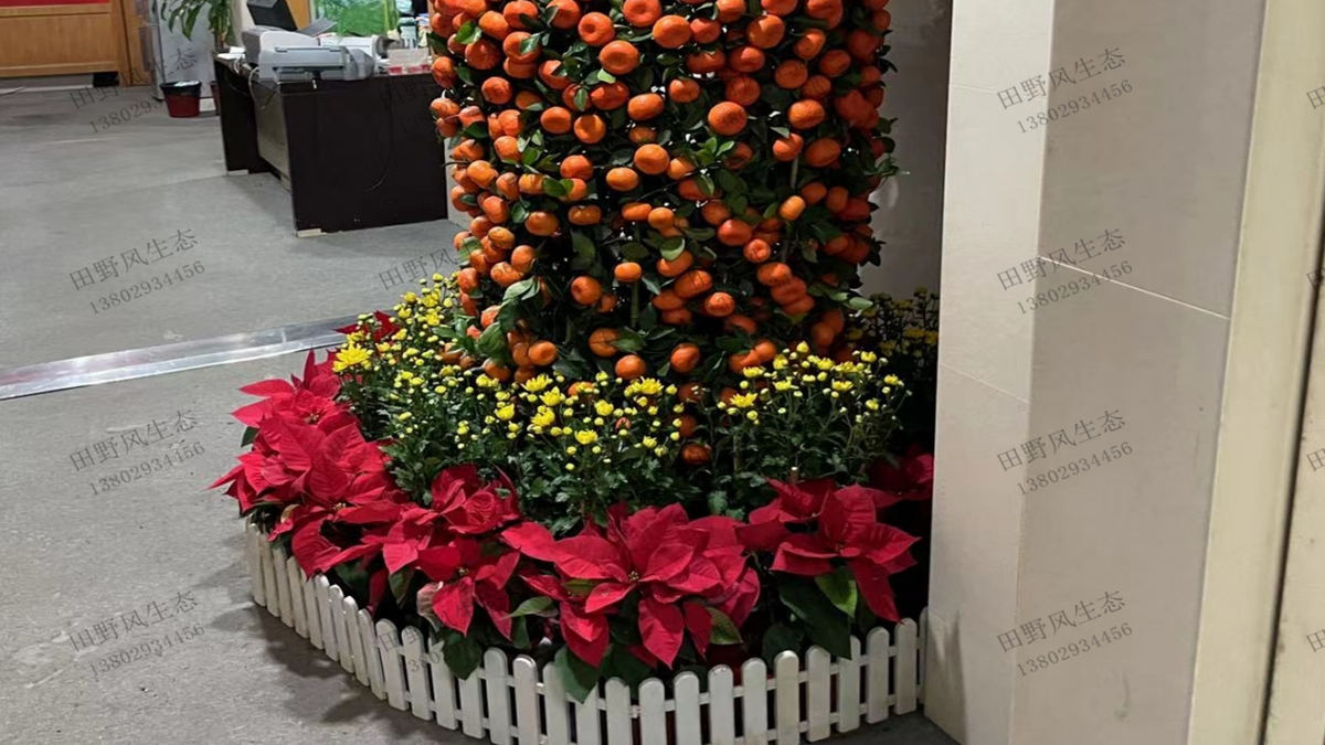 年花訂購(gòu)服務(wù) 年花訂購(gòu)服務(wù)