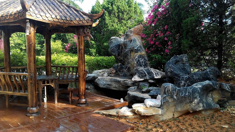 園林綠化景觀植物 園林綠化景觀植物