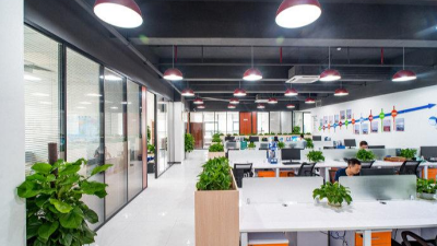 綠植租賃對辦公室的重要性，你知道嗎？