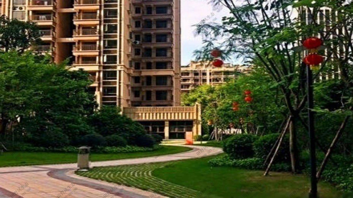 小區(qū)綠植花卉租擺,植物租擺 小區(qū)綠植花卉租擺,植物租擺