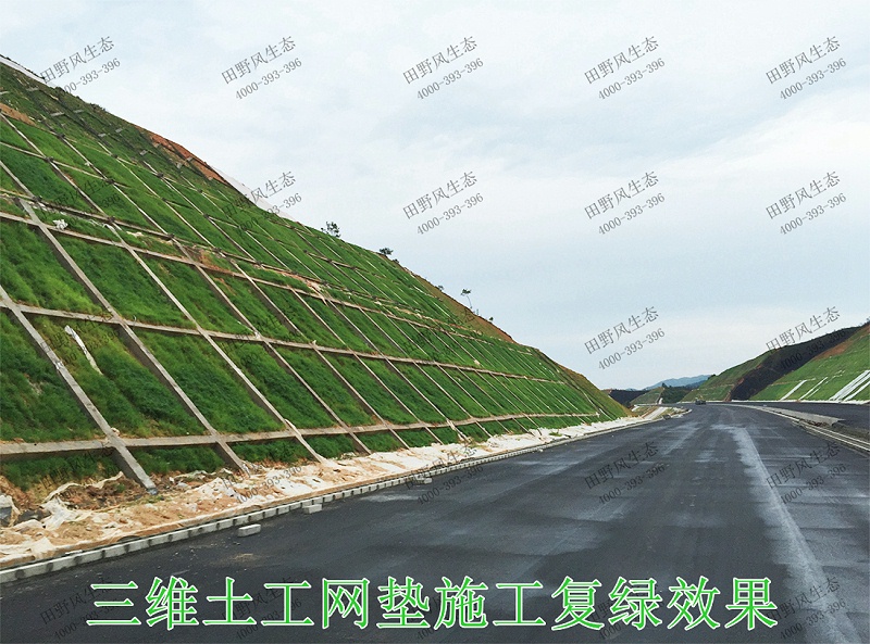 10三維土工網(wǎng)墊施工復(fù)綠效果 10三維土工網(wǎng)墊施工復(fù)綠效果