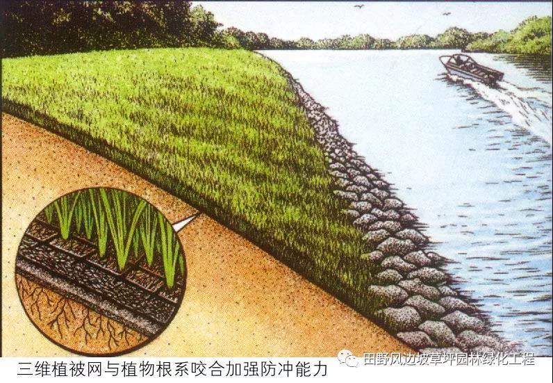 微信圖片_20200608083246 微信圖片_20200608083246