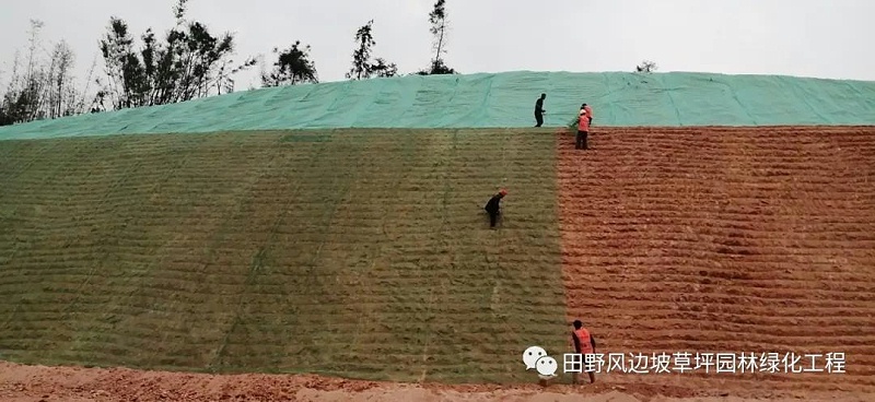 微信圖片_20200608083252 微信圖片_20200608083252