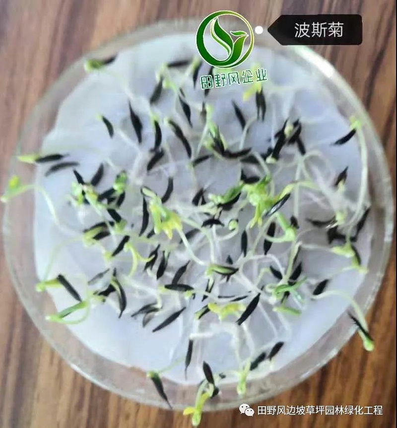 微信圖片_20200528154124 微信圖片_20200528154124