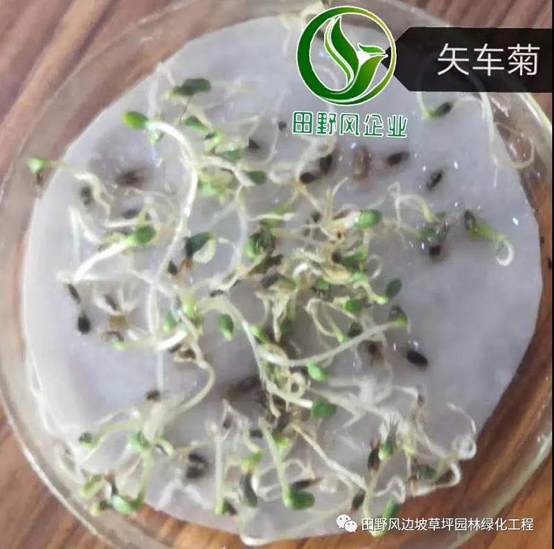 微信圖片_20200528154128 微信圖片_20200528154128