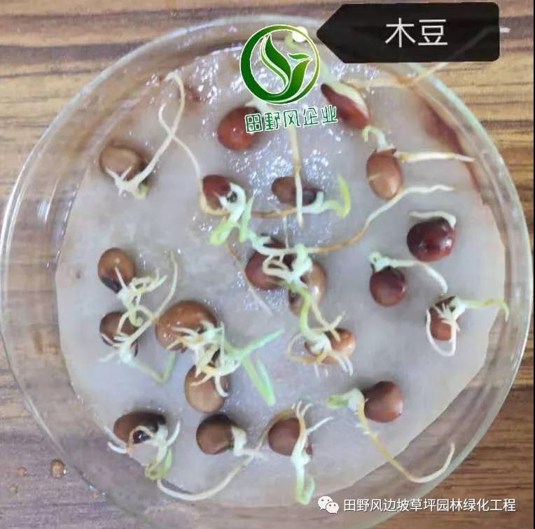 微信圖片_20200528154131 微信圖片_20200528154131