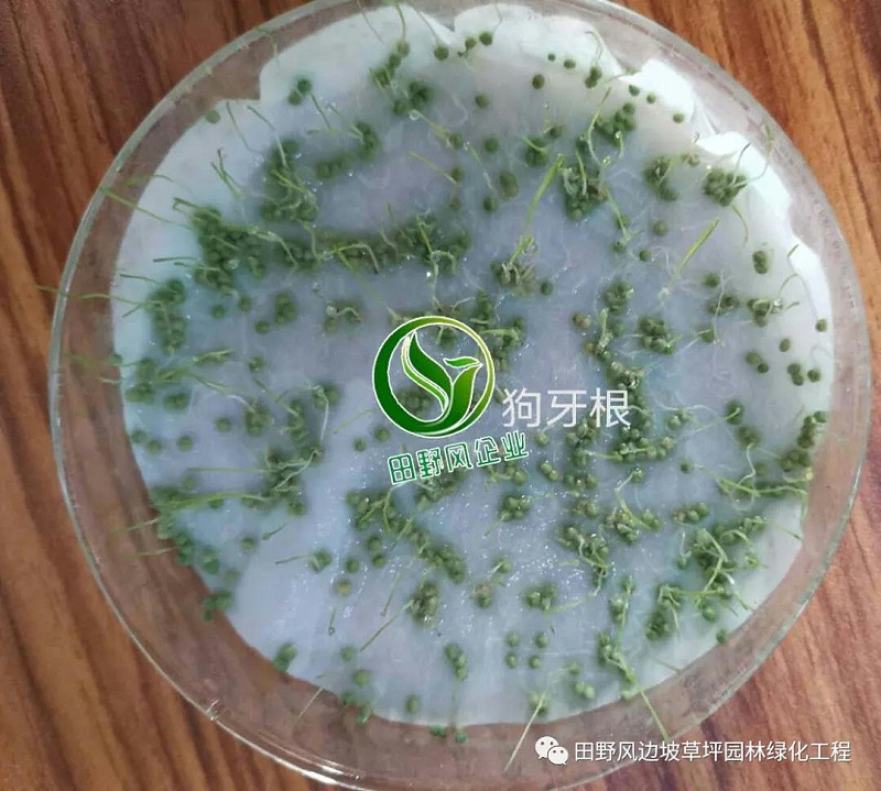 微信圖片_20200528154135 微信圖片_20200528154135