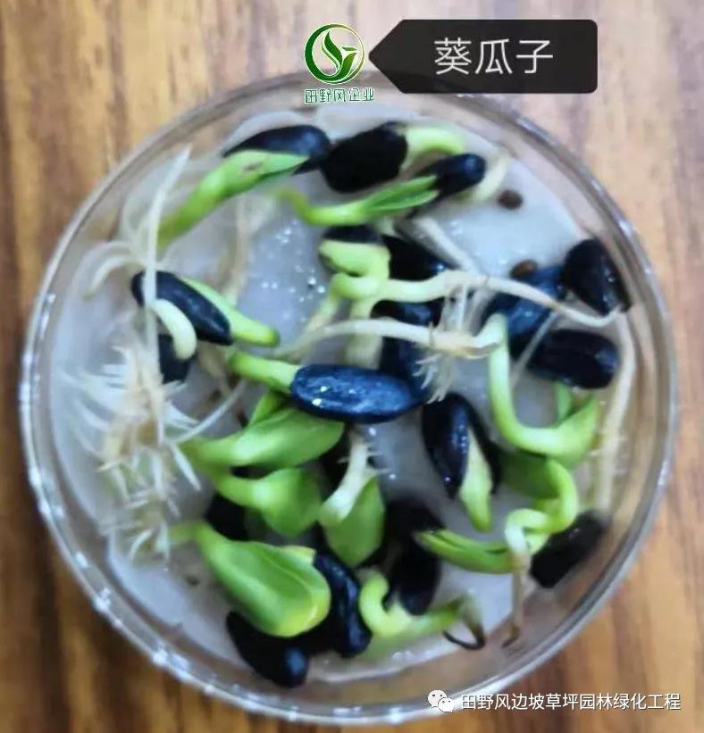 微信圖片_20200528154108 微信圖片_20200528154108