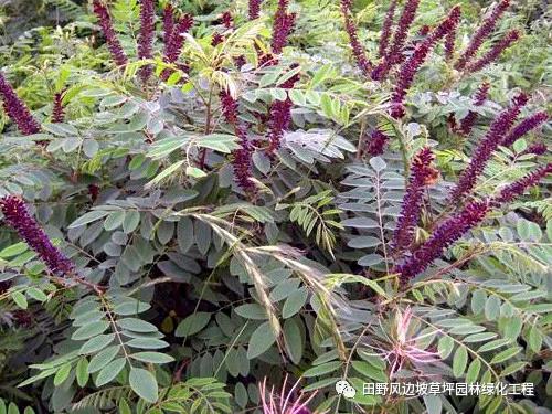 微信圖片_20200528155620 微信圖片_20200528155620