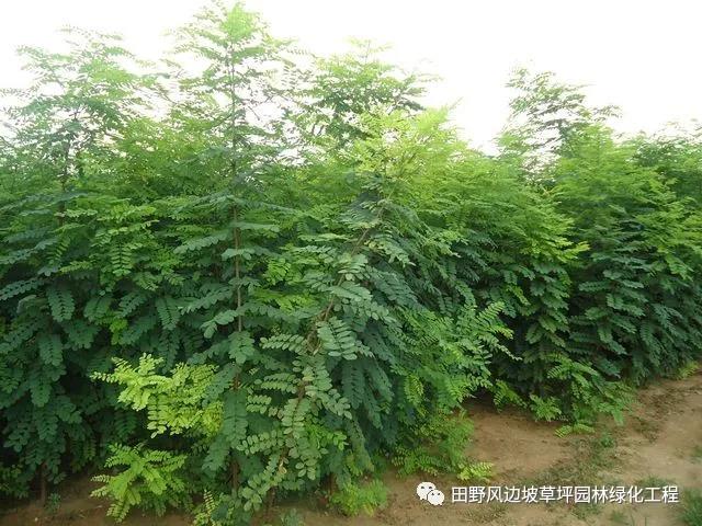 微信圖片_20200528155627 微信圖片_20200528155627