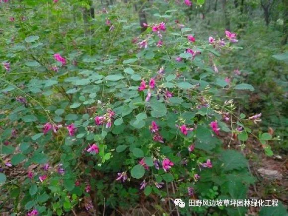 微信圖片_20200528155636 微信圖片_20200528155636