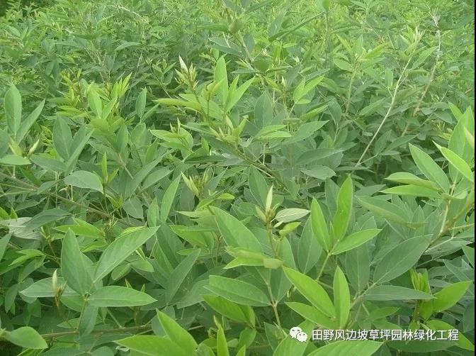 微信圖片_20200528155639 微信圖片_20200528155639