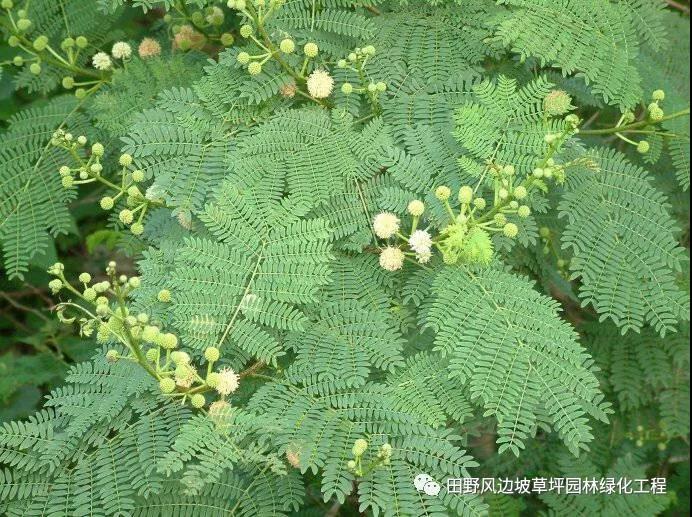 微信圖片_20200528155642 微信圖片_20200528155642