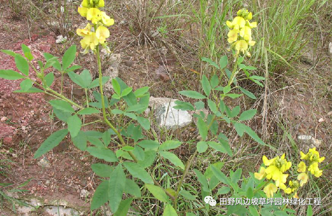 微信圖片_20200528155645 微信圖片_20200528155645