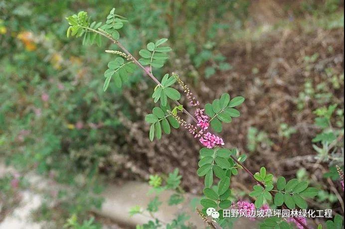 微信圖片_20200528155651 微信圖片_20200528155651