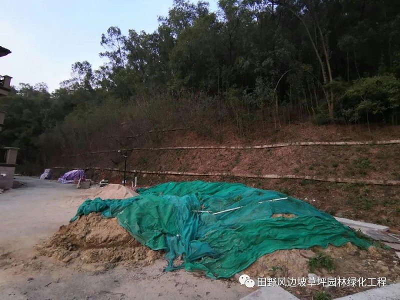 微信圖片_20200528161135 微信圖片_20200528161135