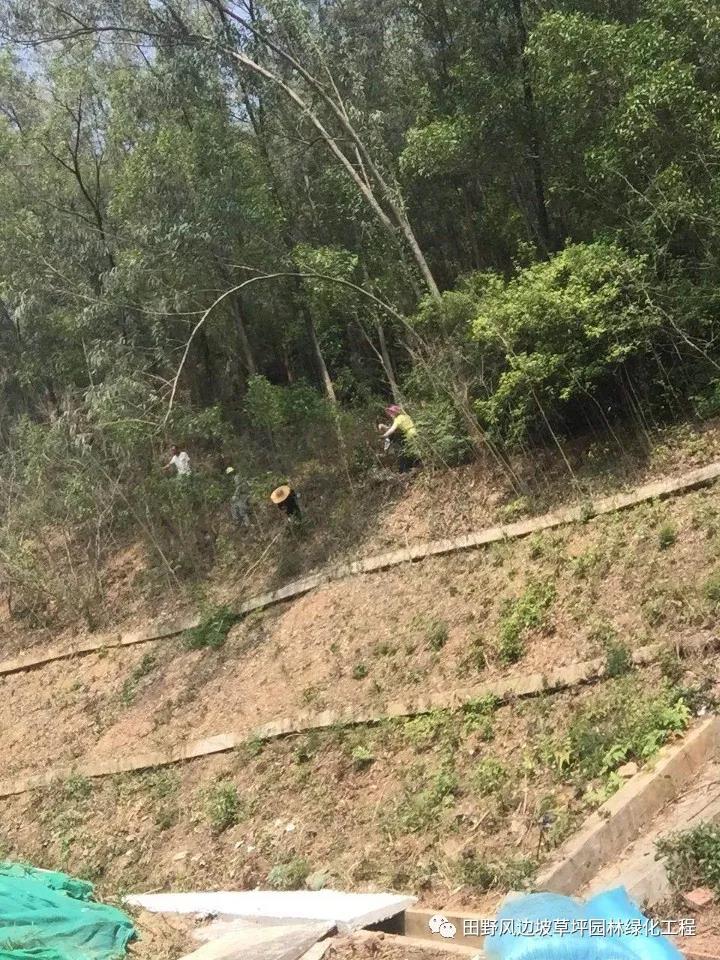 微信圖片_20200528161139 微信圖片_20200528161139