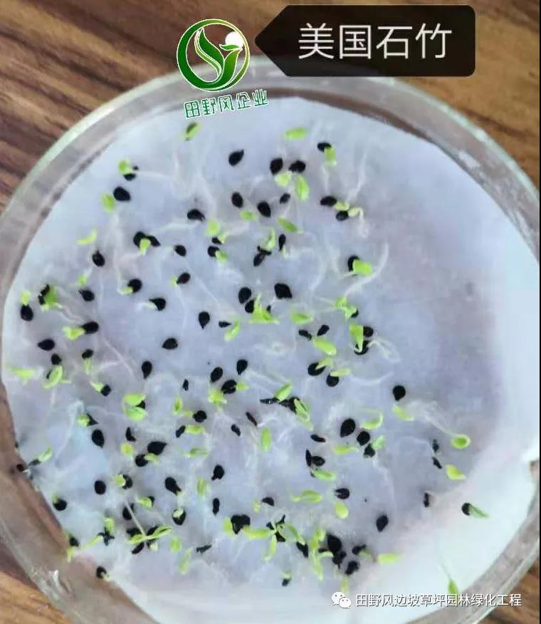 微信圖片_20200528154116 微信圖片_20200528154116