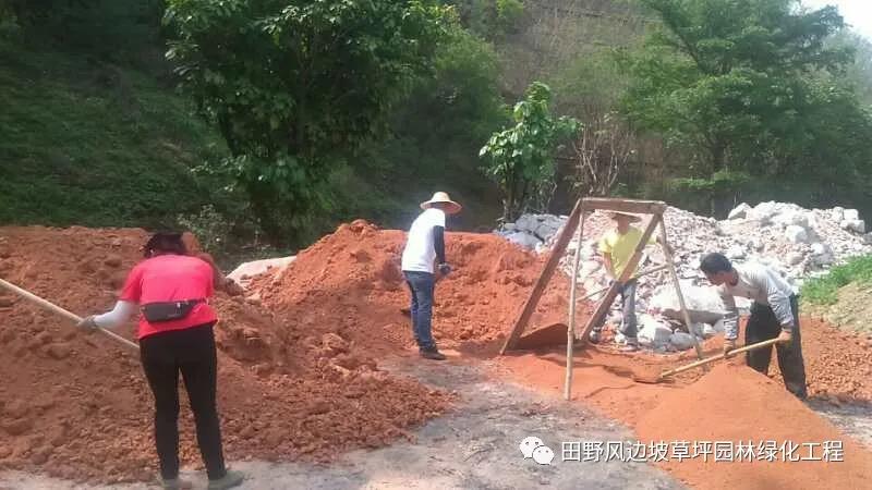 微信圖片_20200528161145 微信圖片_20200528161145