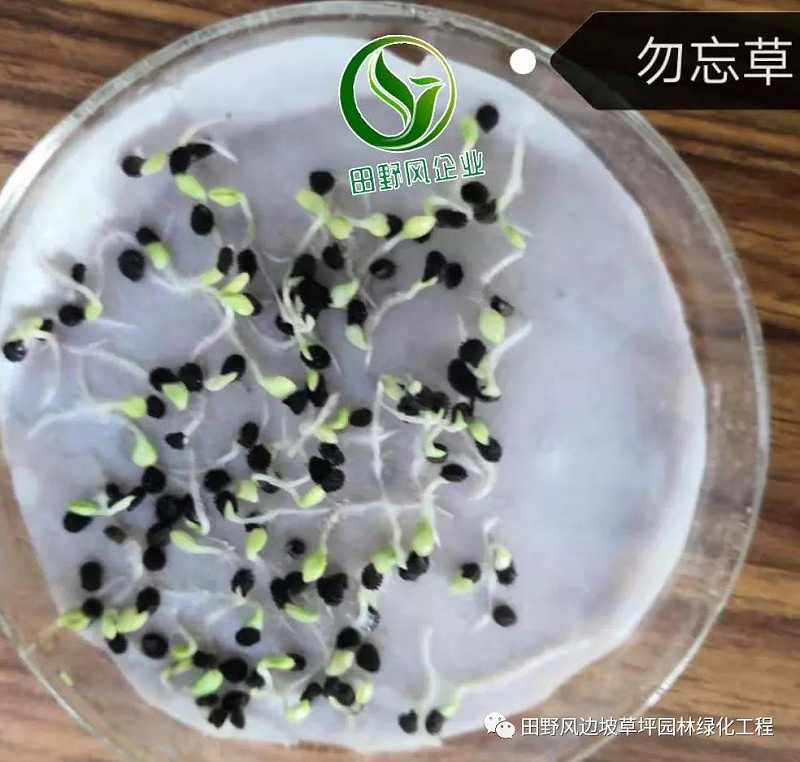 微信圖片_20200528154120 微信圖片_20200528154120