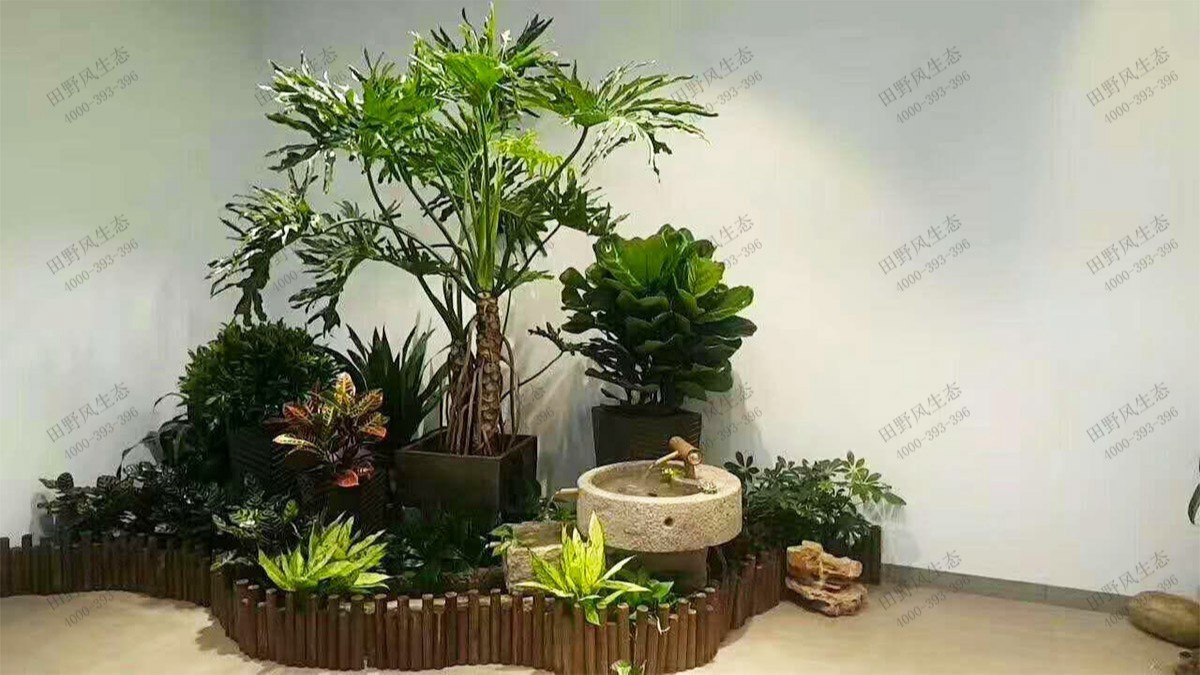 廣州國(guó)際電子大廈綠植出租案例 廣州國(guó)際電子大廈綠植出租案例