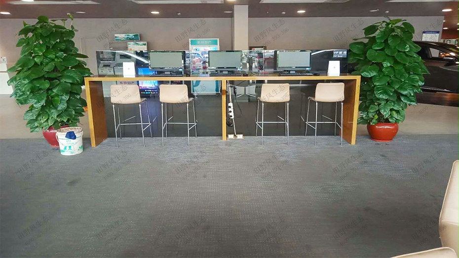 綠植租擺，綠植租賃