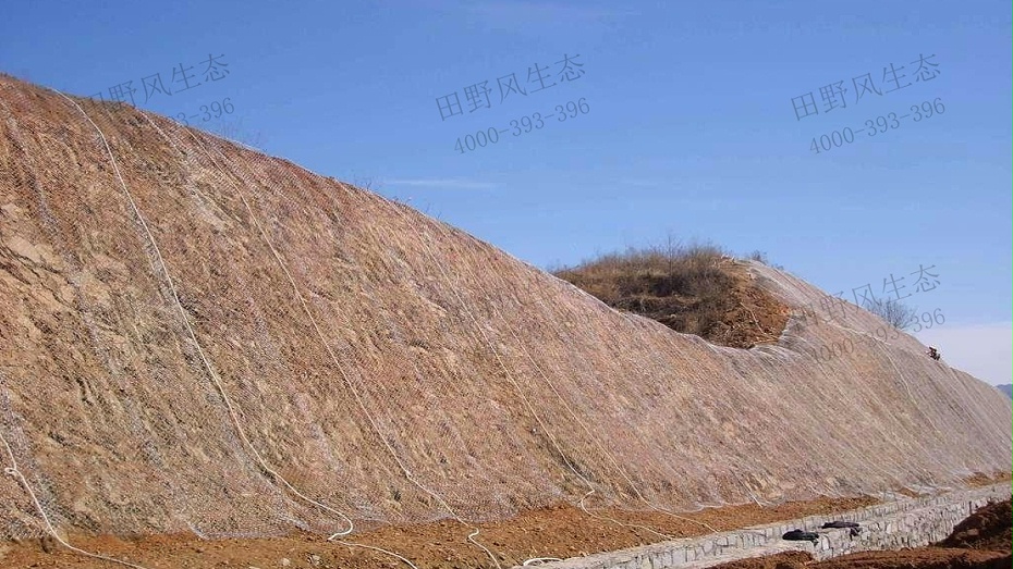 邊坡掛鍍鋅鐵絲網(wǎng)