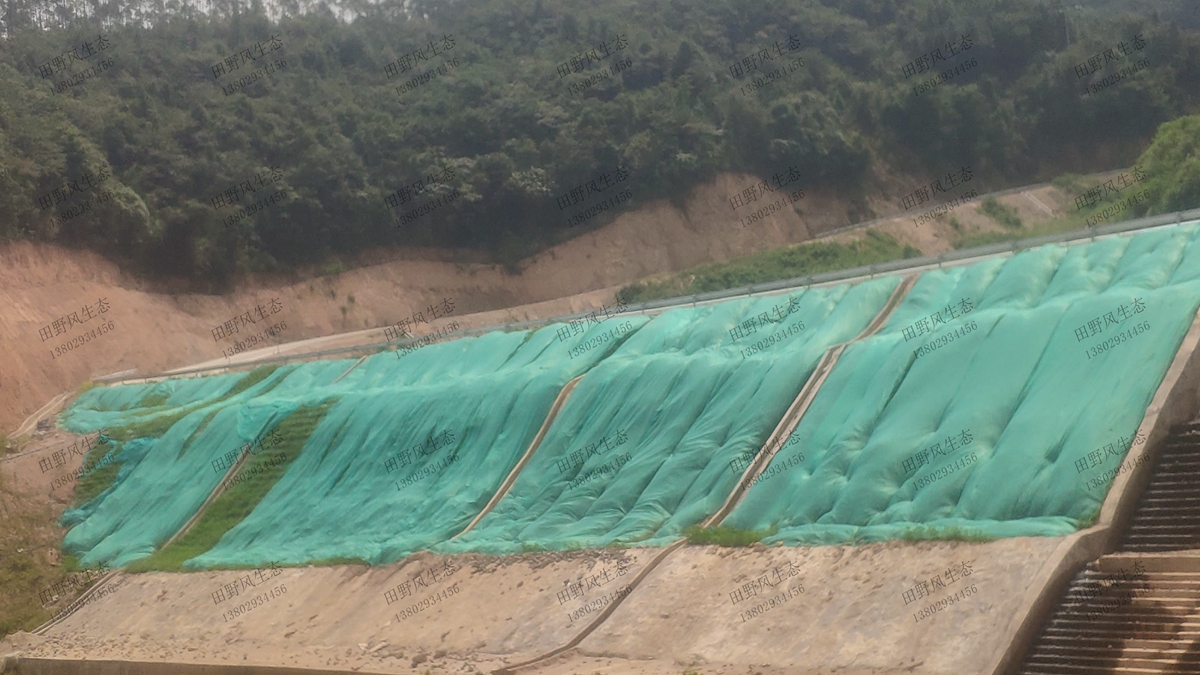 邊坡復(fù)綠效果 邊坡復(fù)綠效果