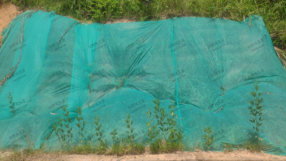 邊坡復(fù)綠效果 邊坡復(fù)綠效果